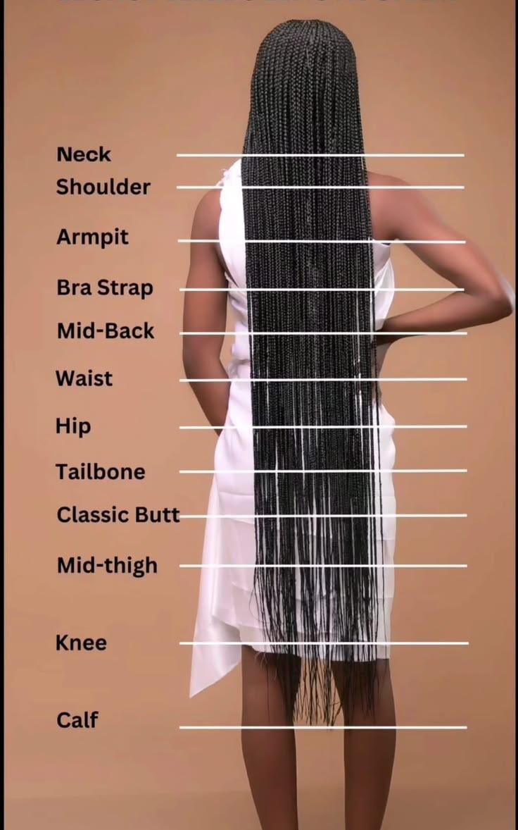 Braided hair length reference from neck through calf